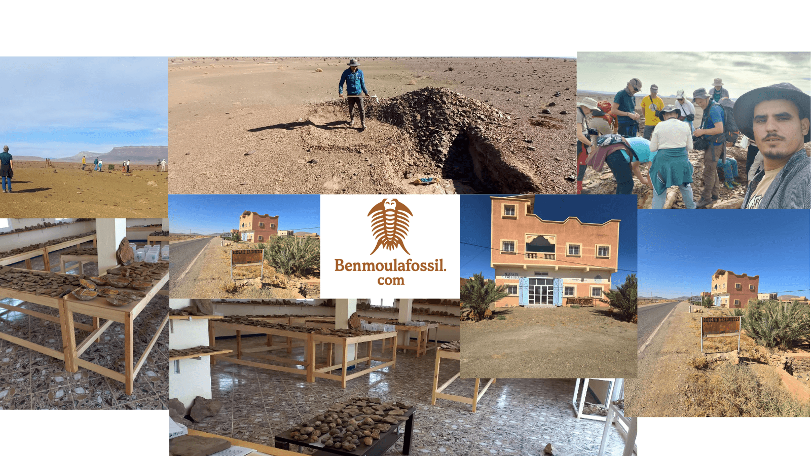 A stunning collection of authentic Moroccan fossils for sale, including trilobites and ammonites.